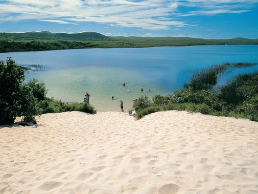 Explore These Southeast Queensland Campground Spots that are Perfect for Hikers