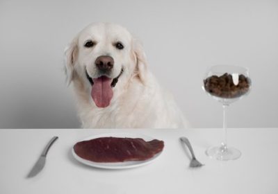 The Dog Podcast Uncovers Startling Truths About What We Feed Our Dogs [Press Release]