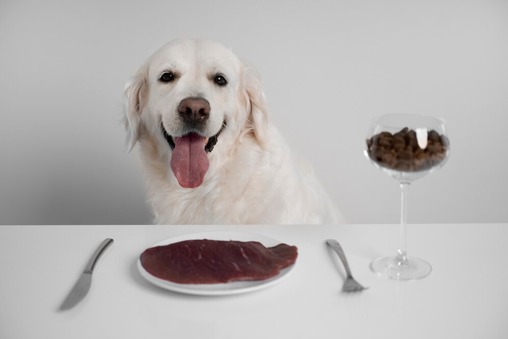 The Dog Podcast Uncovers Startling Truths About What We Feed Our Dogs [Press Release]