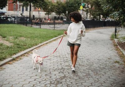 Dog Walk & Train Services: Enriching Your Dog’s Mind and Manners on the Move
